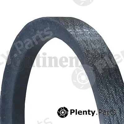 Continental Ctam 17X1000Li — V-Belt