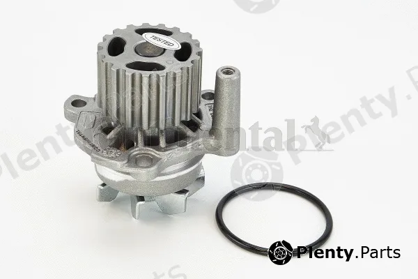 Continental Ctam WP6003 — Water Pump, engine cooling