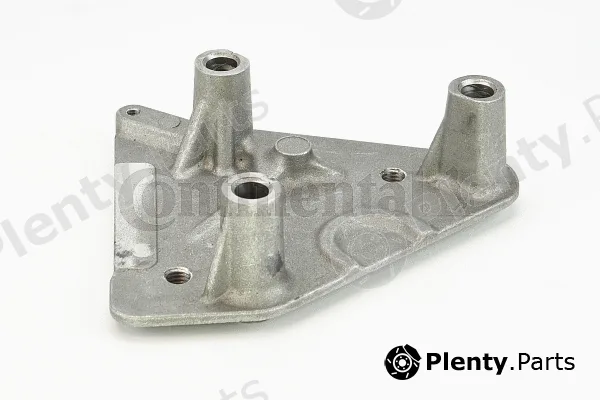 Continental Ctam V325317 — Mounting, engine