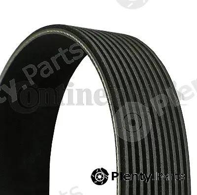 Continental Ctam 10PK1045 — V-Ribbed Belt