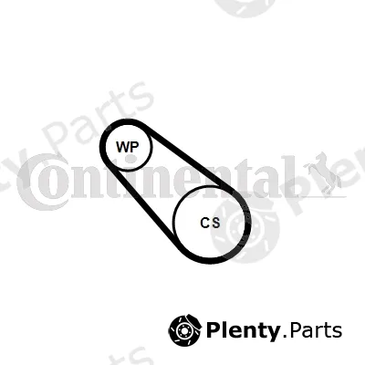 Continental Ctam 3PK576ELASTWP1 — Water Pump + V-Ribbed Belt Kit