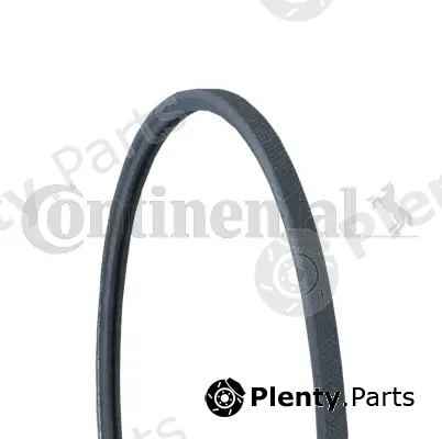 Continental Ctam 2PJ860 — V-Ribbed Belt