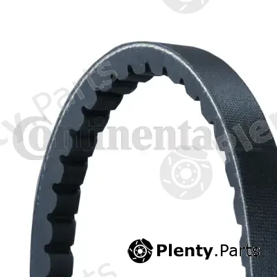 Continental Ctam AVX13X775 — V-Belt