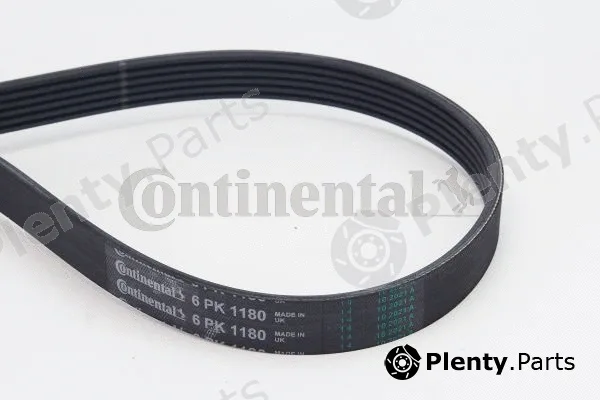 Continental Ctam 6PK1180 — V-Ribbed Belt
