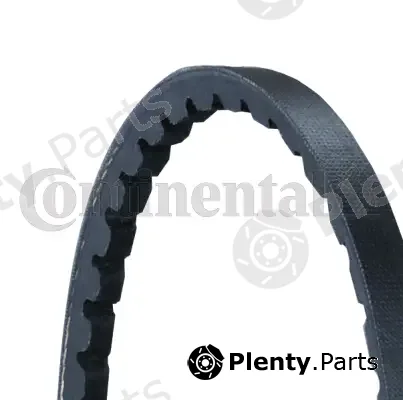 Continental Ctam AVX10X550 — V-Belt