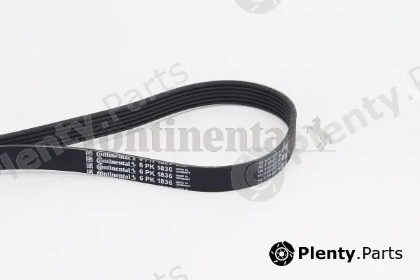 Continental Ctam 6PK1836 — V-Ribbed Belt