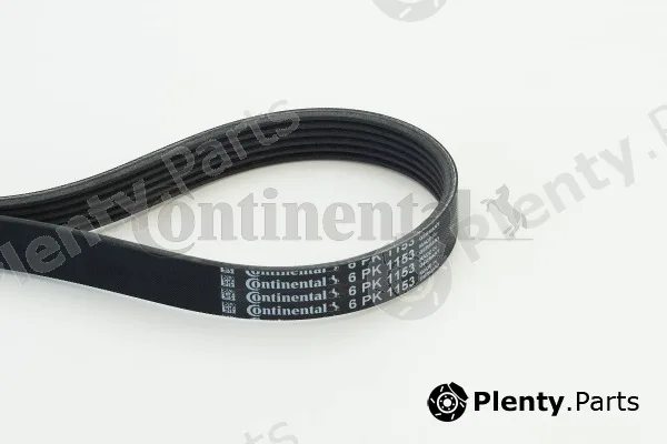 Continental Ctam 6PK1153 — V-Ribbed Belt