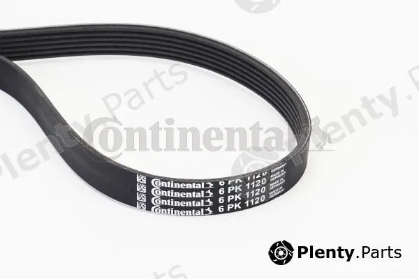 Continental Ctam 6PK1120 — V-Ribbed Belt