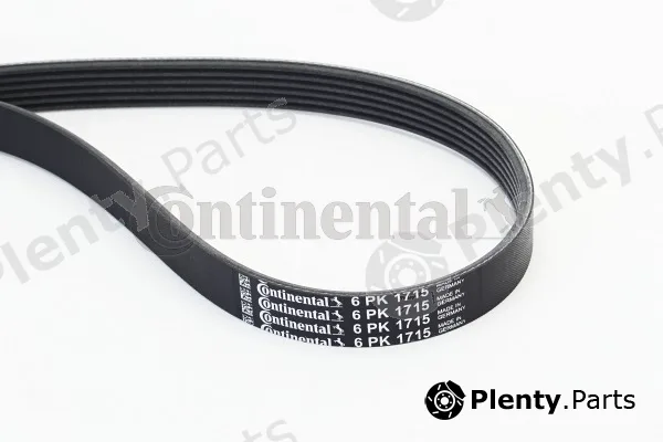Continental Ctam 6PK1715 — V-Ribbed Belt