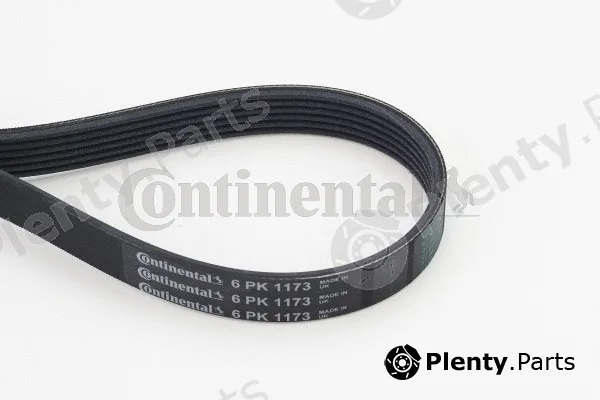 Continental Ctam 6PK1173 — V-Ribbed Belt