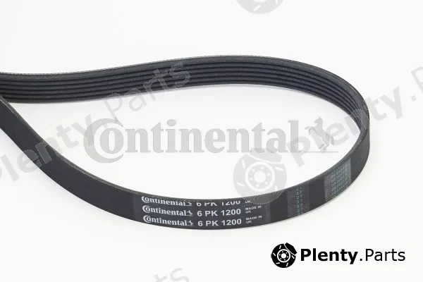 Continental Ctam 6PK1200 — V-Ribbed Belt
