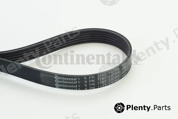Continental Ctam 6PK1157EXTRA — V-Ribbed Belt