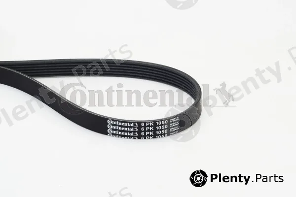 Continental Ctam 6PK1050 — V-Ribbed Belt