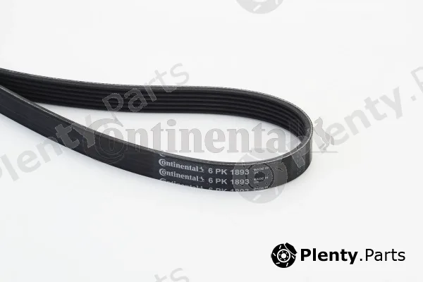 Continental Ctam 6PK1893 — V-Ribbed Belt