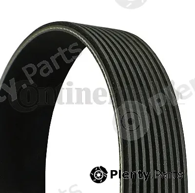 Continental Ctam 9PK2871 — V-Ribbed Belt