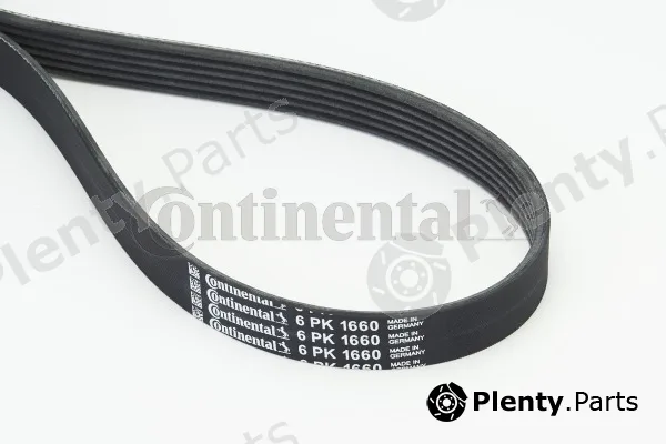 Continental Ctam 6PK1660 — V-Ribbed Belt