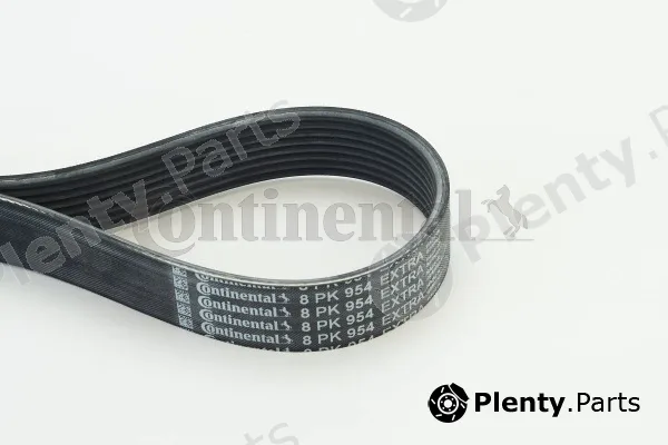 Continental Ctam 8PK954EXTRA — V-Ribbed Belt