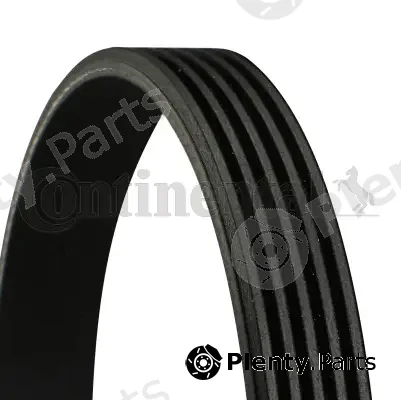 Continental Ctam 5PK1538 — V-Ribbed Belt