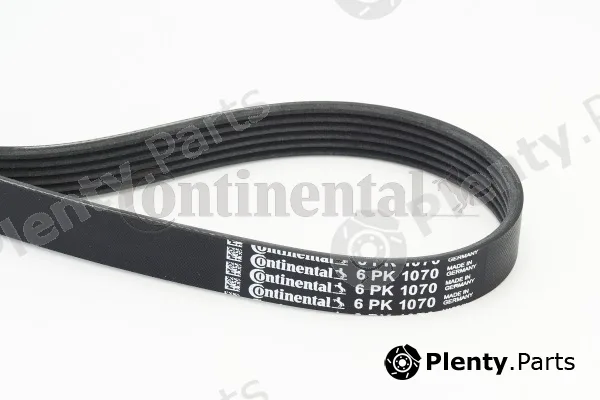Continental Ctam 6PK1070 — V-Ribbed Belt