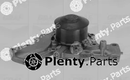 Graf PA1012 — Water Pump, engine cooling