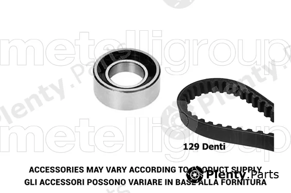 Graf TP029 — Timing Belt Kit
