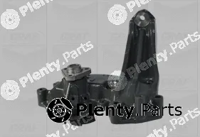 Graf PA1101 — Water Pump, engine cooling