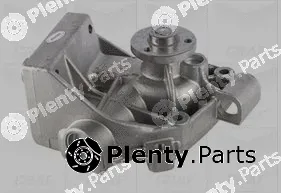 Graf PA454 — Water Pump, engine cooling