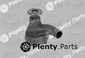 Graf PA781 — Water Pump, engine cooling