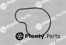 KWP 101244 — Water Pump, engine cooling