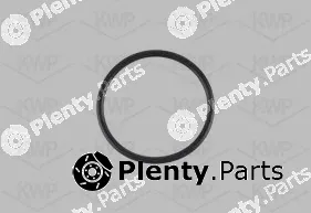 KWP 101154 — Water Pump, engine cooling