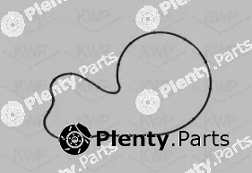 KWP 101141 — Water Pump, engine cooling