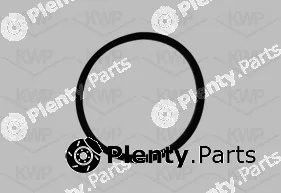 KWP 101060 — Water Pump, engine cooling