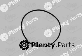 KWP 101338 — Water Pump, engine cooling
