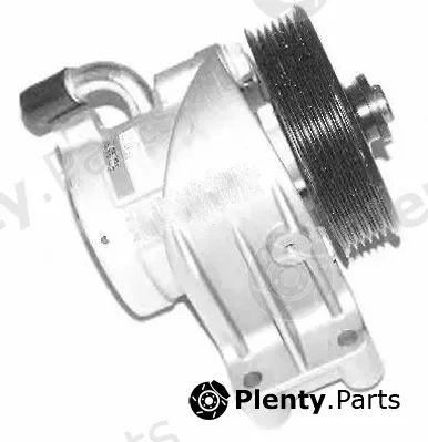 General Ricambi PI0471 — Hydraulic Pump, steering