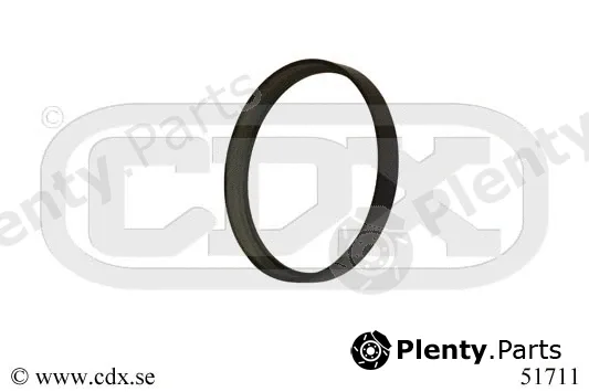 CDX 51711 — Sensor Ring, ABS