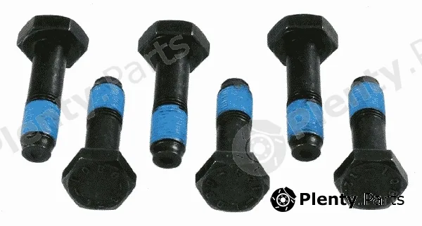 Sachs 1874000034 — Screw Set, flywheel