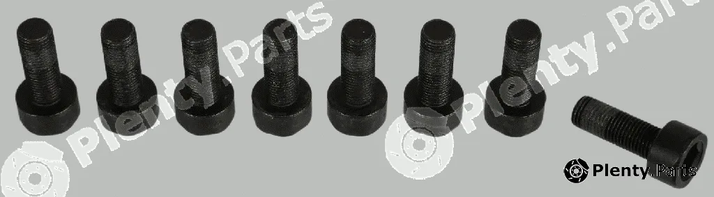 Sachs 1874000066 — Screw Set, flywheel