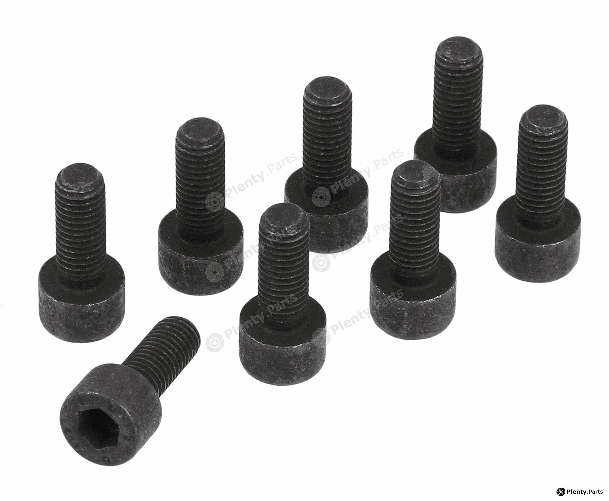 Sachs 1874000080 — Screw Set, flywheel