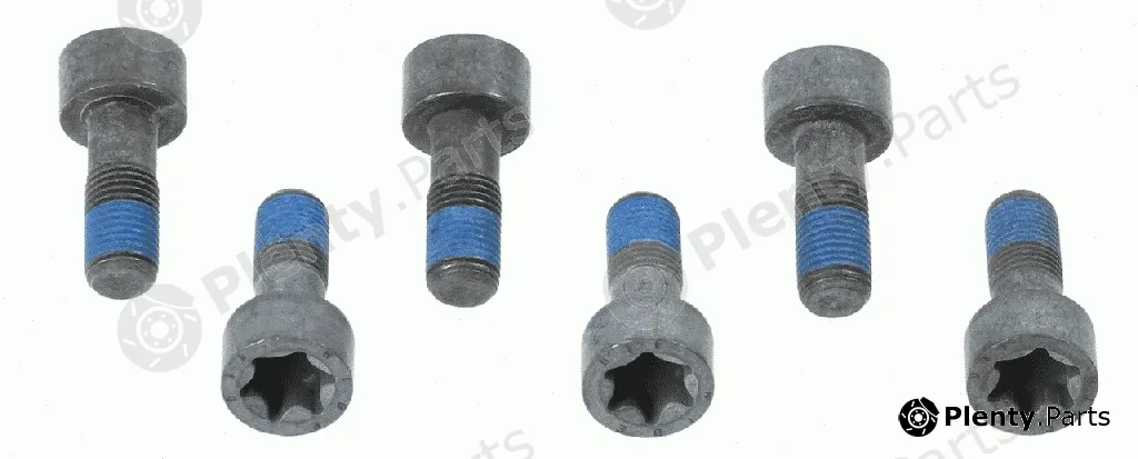 Sachs 1874000041 — Screw Set, flywheel