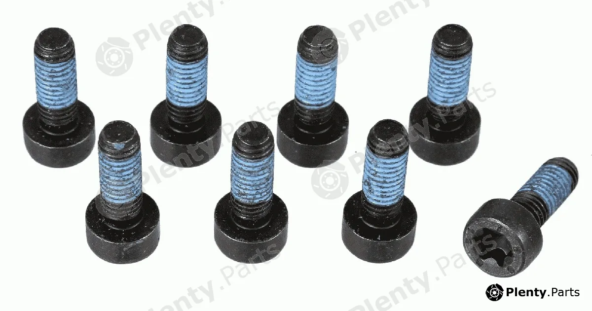 Sachs 1874000073 — Screw Set, flywheel