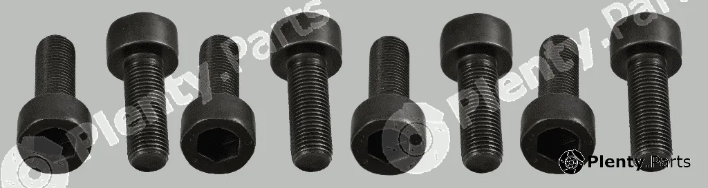 Sachs 1874000062 — Screw Set, flywheel