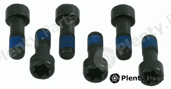 Sachs 1874000035 — Screw Set, flywheel