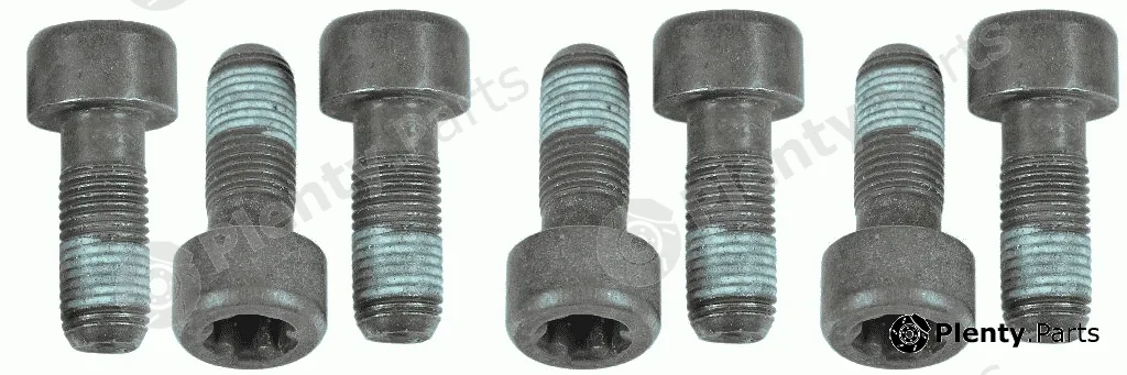 Sachs 1874000054 — Screw Set, flywheel