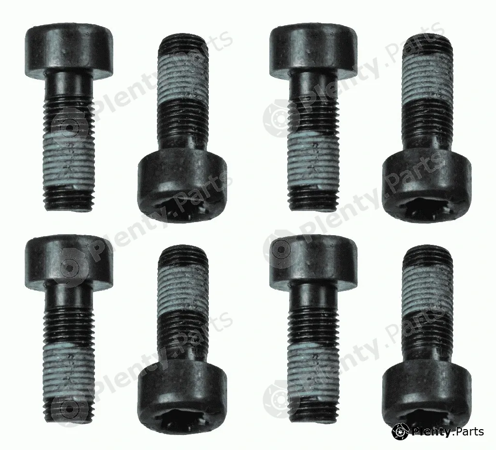 Sachs 1874000060 — Screw Set, flywheel