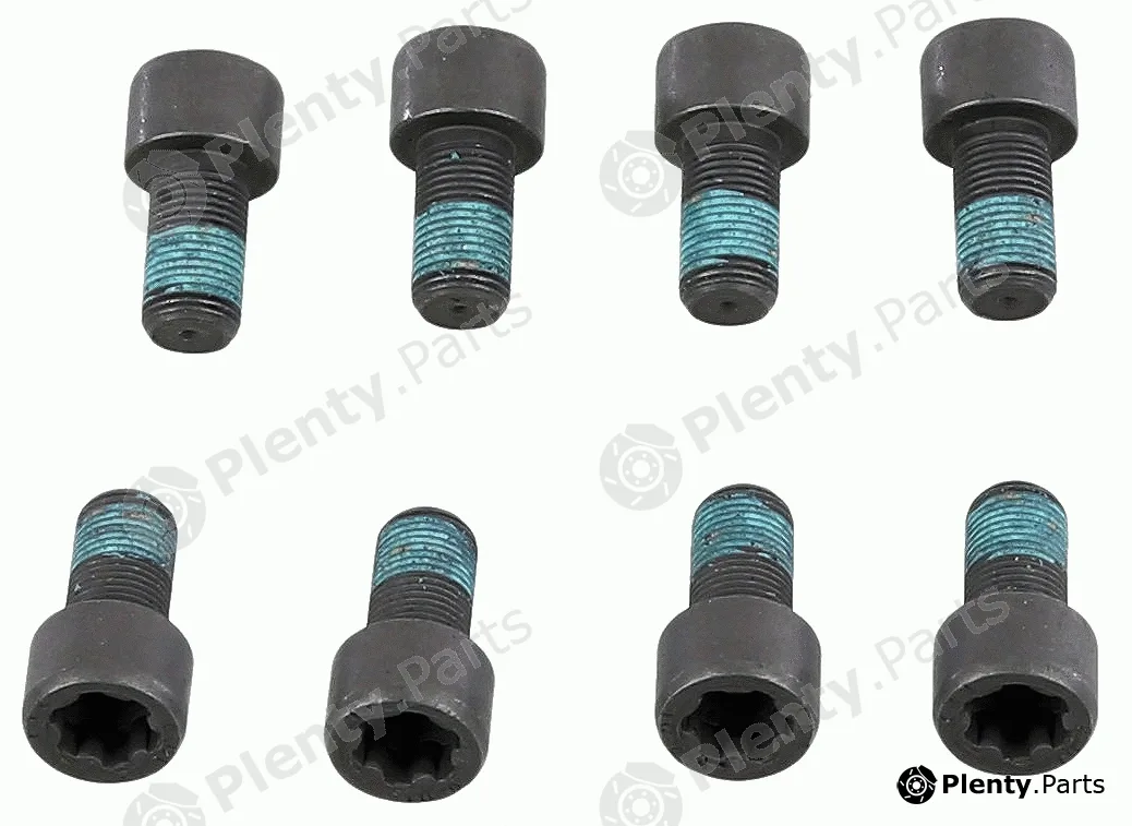 Sachs 1874000078 — Screw Set, flywheel