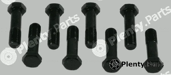 Sachs 1874000036 — Screw Set, flywheel