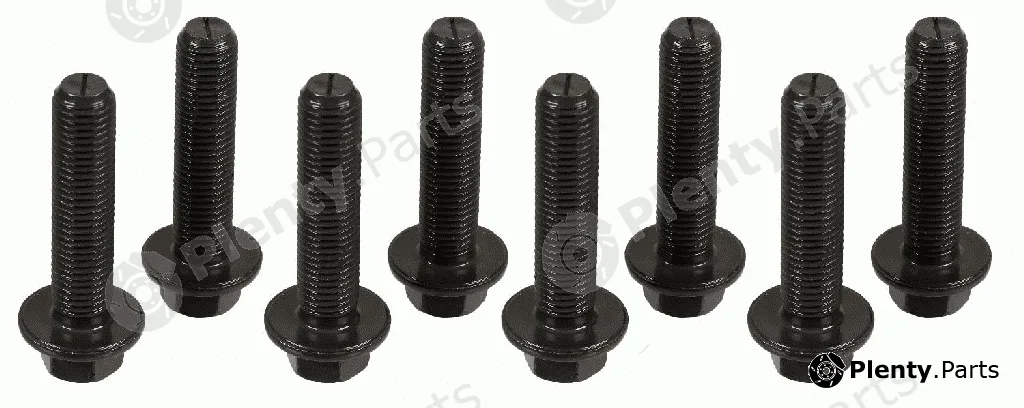 Sachs 1874000042 — Screw Set, flywheel