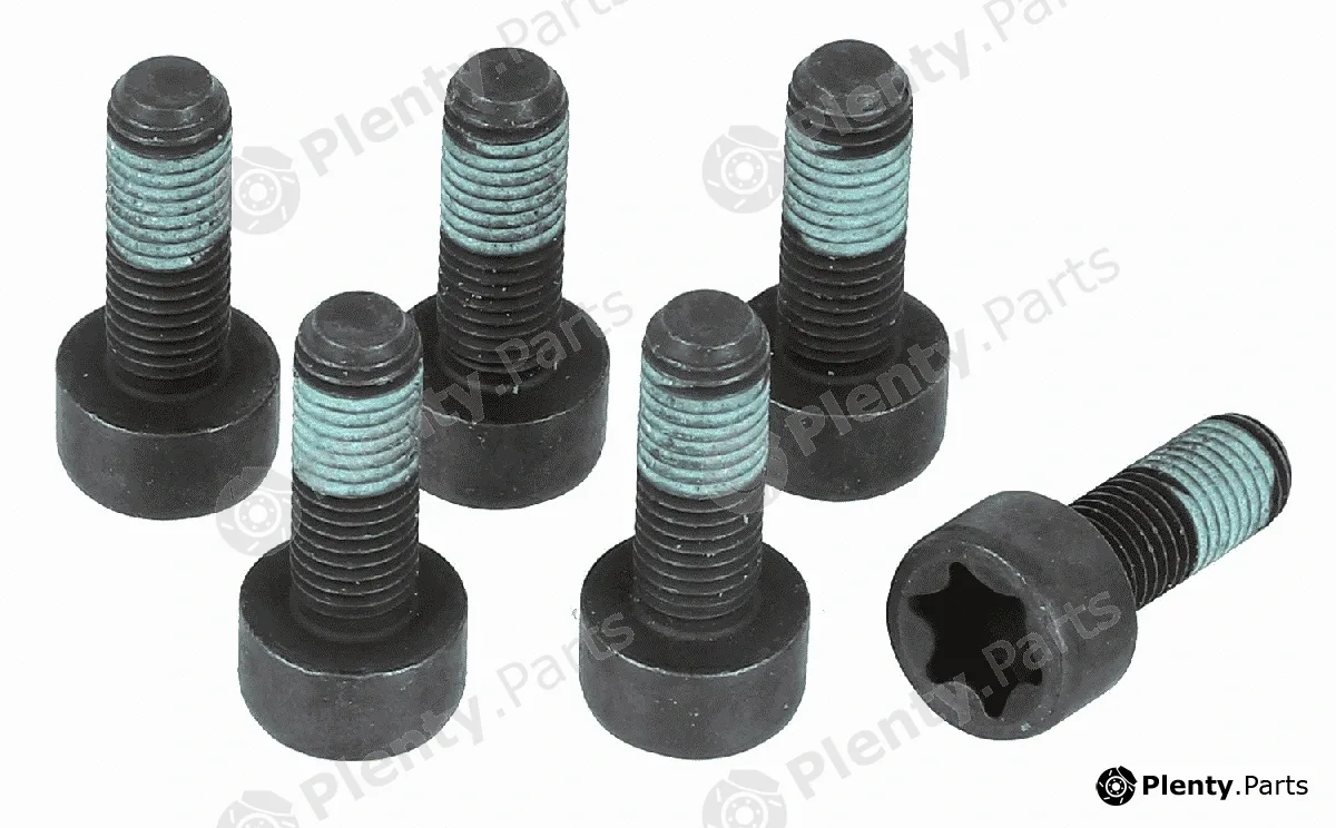 Sachs 1874000046 — Screw Set, flywheel
