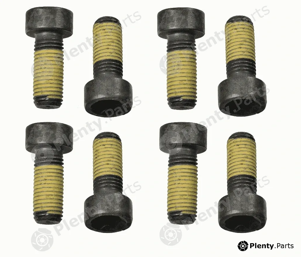 Sachs 1874000048 — Screw Set, flywheel