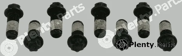 Sachs 1874000029 — Screw Set, flywheel